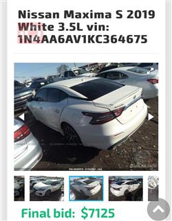 نيسان ماكسيما